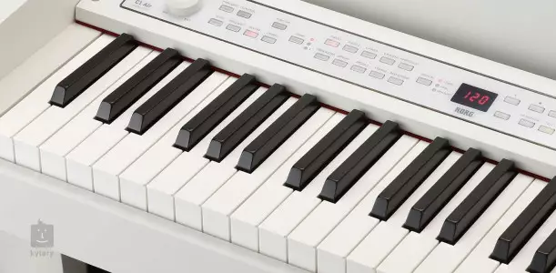 طراحی و بدنه پیانو کرگ